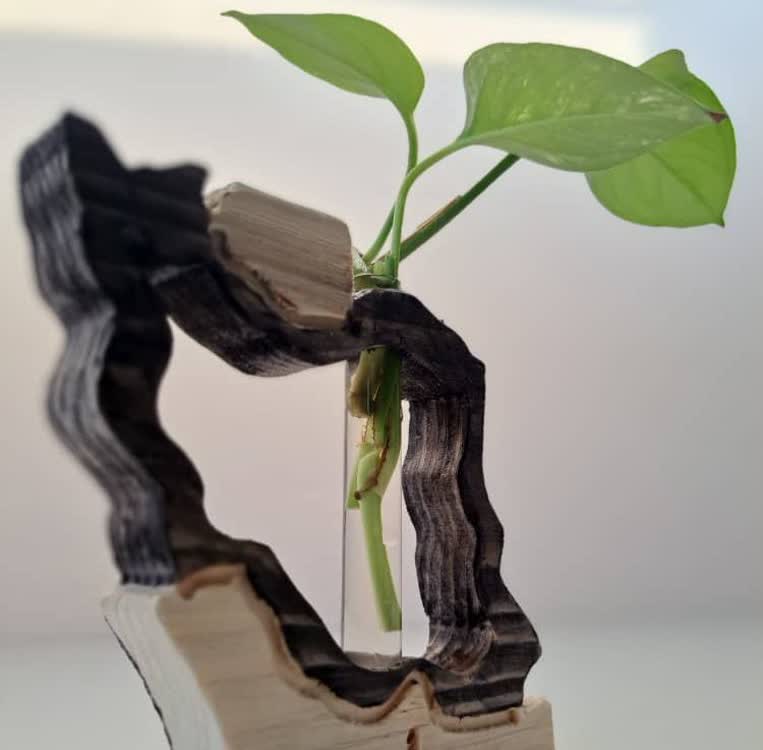 گلدان لوله آزمایش طرح ایران - تصویر 2